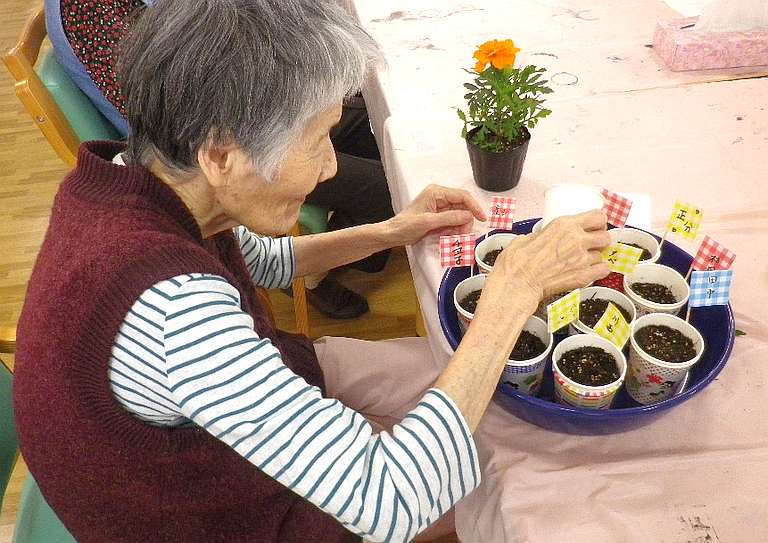 園芸1